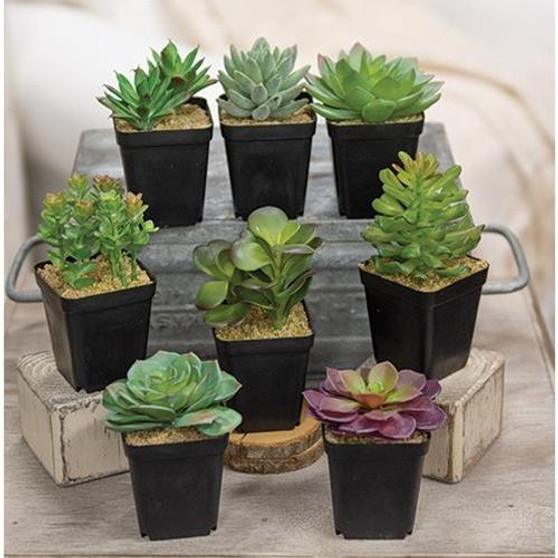 Artificial Potted Succulent 8 Asstd. (Pack Of 8)