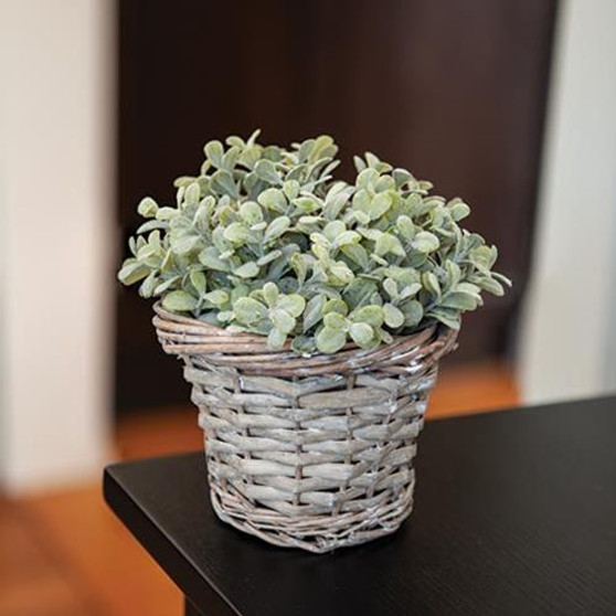 Gray Willow Basket (5 Pack)