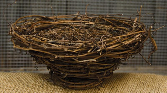 Bird Nest - 7" GISB51070 By CWI Gifts
