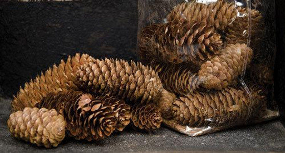 Pinecone Fillers - 6 Oz (5 Pack)