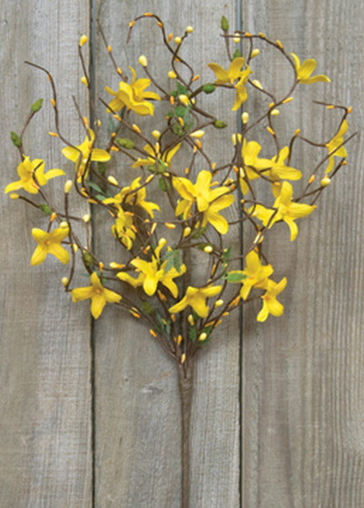 Star Forsythia Spray 18" FISB12213 By CWI Gifts