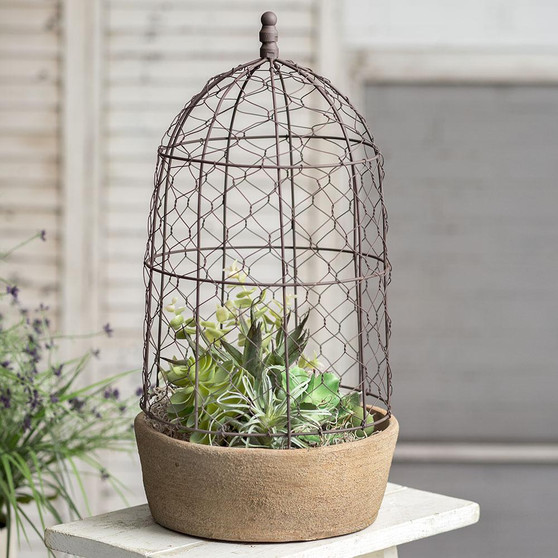 Tall Chicken Wire Cloche With Terra Cotta Pot