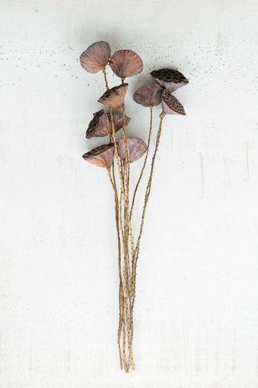 (12 Pack) Decorative 10 Piece Bundle Natural Lotus Pods On Twigs