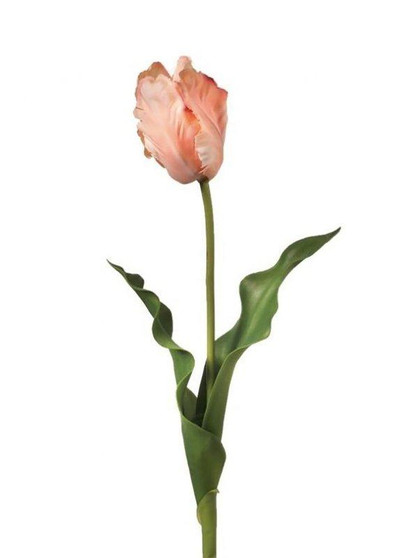 Coral Real Touch Faux Parrot Tulip