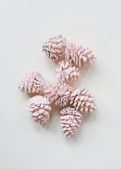 Natural Ponderosa Pine Cones In Pink