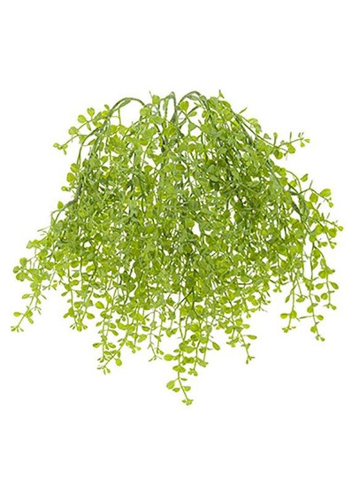 Plastic Outdoor Baby Tears Greenery Hanging Plant - 18" Long