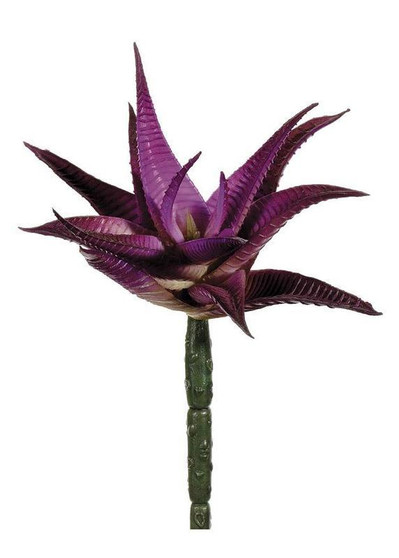 Agave Pick In Eggplant Purple - 4" Wide