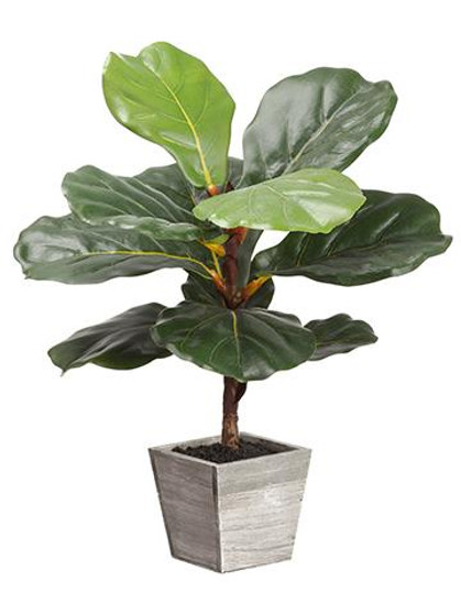 Artificial Fiddle Fig Leaf Plant In Wood Planter - 18" Tall