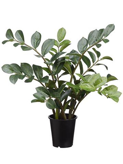 Tropical Zz Artificial House Plant In Pot - 27" Tall