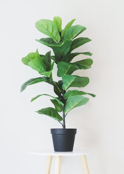 Fake Fiddle Leaf Fig Tree Floor Plant In Pot - 31.5" Tall