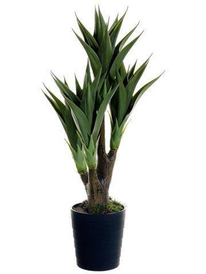 39" Agave Attenuata Plant X4 In Black Plastic Pot Green 4 Pieces LPA854-GR