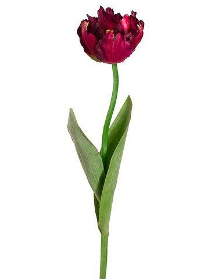 24" Parrot Tulip Spray Burgundy 12 Pieces FST315-BU