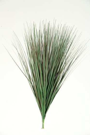26" Burgundy/Green Onion Grass (GR1282)