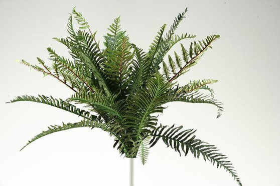 28" River Fern Bush X6 (GR605)