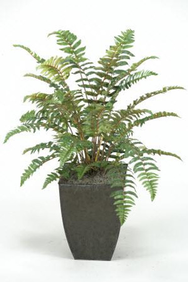 3' Leather Fern Plant In Square Metal Planter (312411)