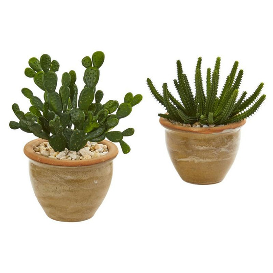 Cactus Succulent Artificial Plant In Ceramic Vase (Set Of 2) (8516-S2)