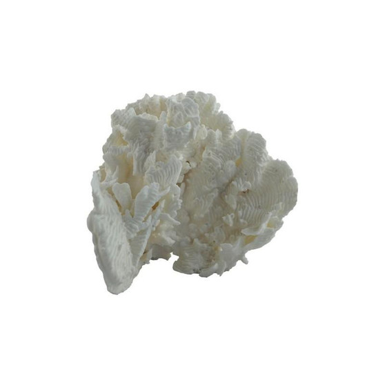Rugosa Coral 7-10 On Acrylic Base (8096-S)