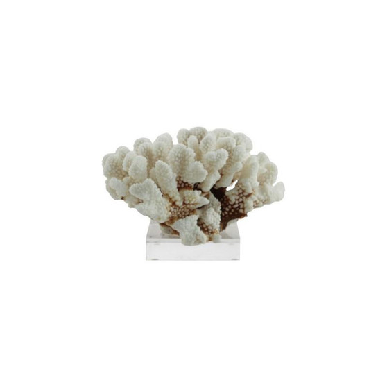 Brownstem Coral 7-10 On Acrylic Base (8092-S)