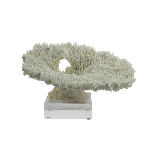 Table Coral Special 10-12 On Acrylic Base (8085-M)