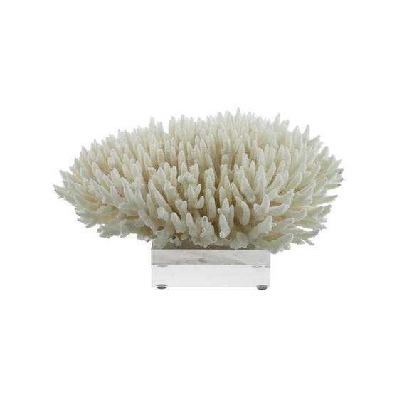Finger Coral 10 - 12 On Acrylic Base (8081-M)
