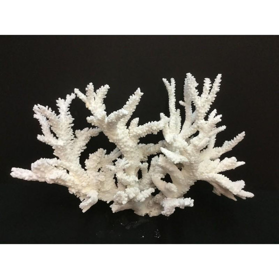 Branch Coral Creation (8075-CRT)