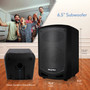 Compact And Portable Bluetooth(R) Pa Speaker (PYLPSBT65A)