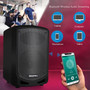 Compact And Portable Bluetooth(R) Pa Speaker (PYLPSBT65A)