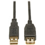 Hi-Speed A-Male To A-Female Usb 2.0 Extension Cable (10Ft) TRPU024010 (TRPU024010)