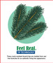 12' Feel Real® Downswept Douglas® Fir Hinged Tree With 1500 Clear Lights Ul-Special Version (PEDD1-372-120)