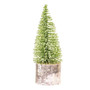 Iced Foxtail Pine Tree 6"
