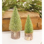 Iced Foxtail Pine Tree 8"