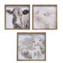Farm Animal Portrait Frame - 3 Assorted (Pack Of 3)