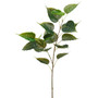30" Bodhi Leaf Spray Green (Pack Of 12) PSB058-GR