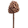 10" Pine Cone Pick Brown (Pack Of 12) XAK577-BR