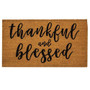 Thankful & Blessed Door Mat 30X18