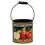 2/Set Apple Buckets GH19A173 By CWI Gifts
