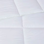 Allergen Barrier Anti-Microbial Down Alternative Comforter - Twin LCN10-0020