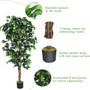 6 Feet Artificial Ficus In/Outdoor Home Tree (HW63226)