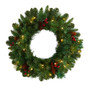 20" Frosted Pine Artificial Christmas Wreath With Pinecones, Berries And 35 Warm White Led Lights (W1305)