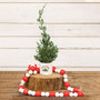 Red & White Wooden Bead Garland FT79701