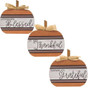 Autumn Blessings Chunky Pumpkin 3 Assorted (Pack Of 3) G35062