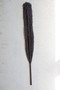 Woven Kejur Leaf- Black (Pack Of 12) (NSBE1008)