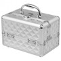 Beauty Cosmetic Makeup Case With Mirror & Extendable Trays-Silver (HB85369SL)