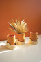 Set/3 Natural Clay Cylinder Pots In Speckled Geometic Trays (H4173)