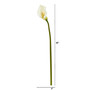 30" Calla Lily Artificial Flower (Set Of 6) (2315-S6-WH)