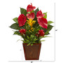 24" Anthurium, Bromeliad And Succulent Artificial Plant In Decorative Planter (8991)