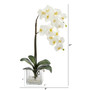 21" Phalaenopsis Orchid Artificial Arrangement In Glass Vase (A1423)