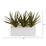 11" Aloe Succulent Artificial Plant In White Planter (P1279)