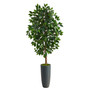 5' Ficus Artificial Tree In Gray Planter (T2565)
