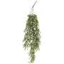 Eden's Gate Hanging Vine FFG3152